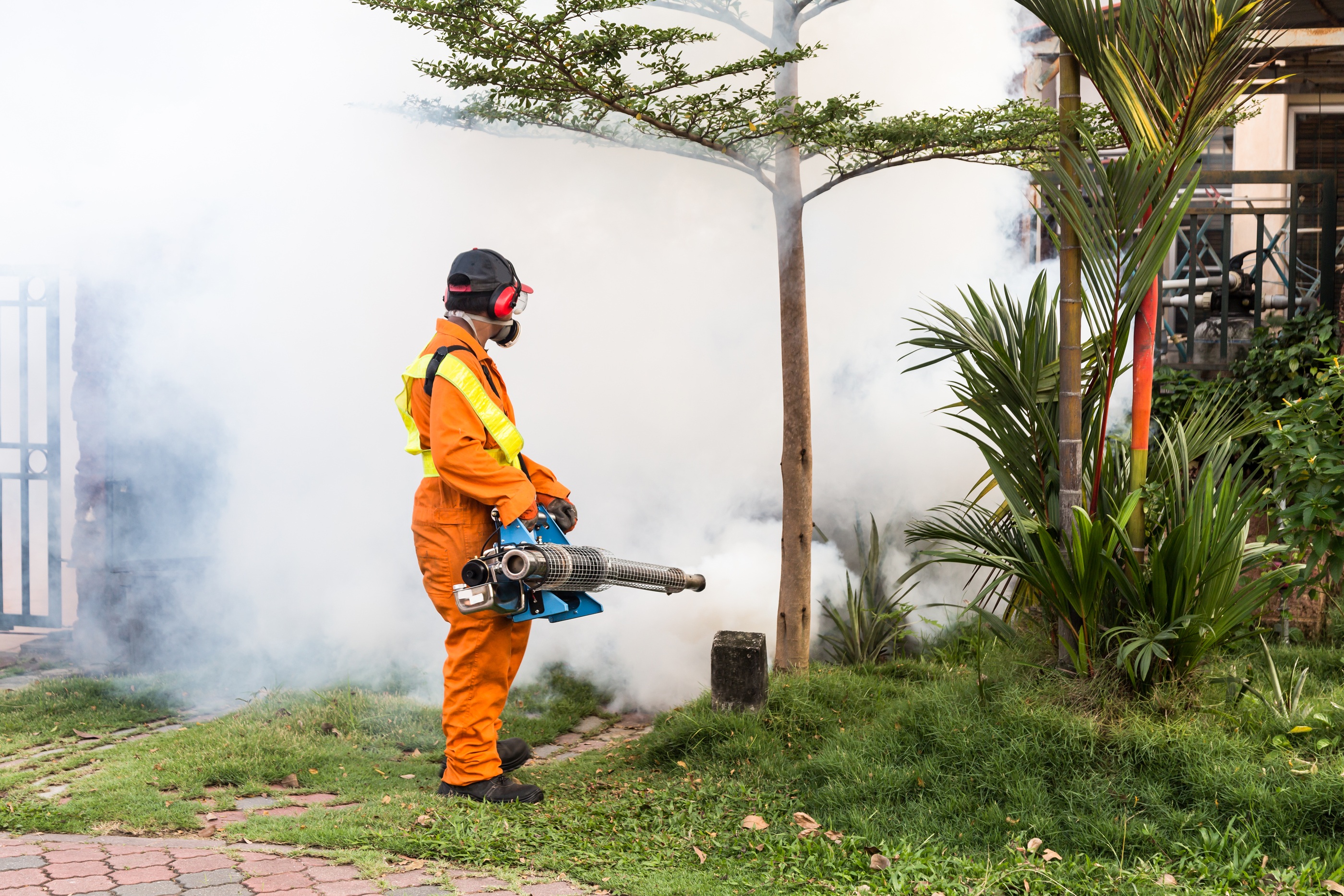 Worker Fogging Residential Area With Insecticides To Kill Aedes