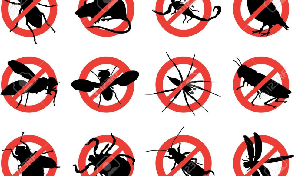 pest control tip in pest prevention pest control tip in pest prevention